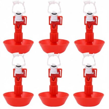 মিনি রাউন্ড কাপ