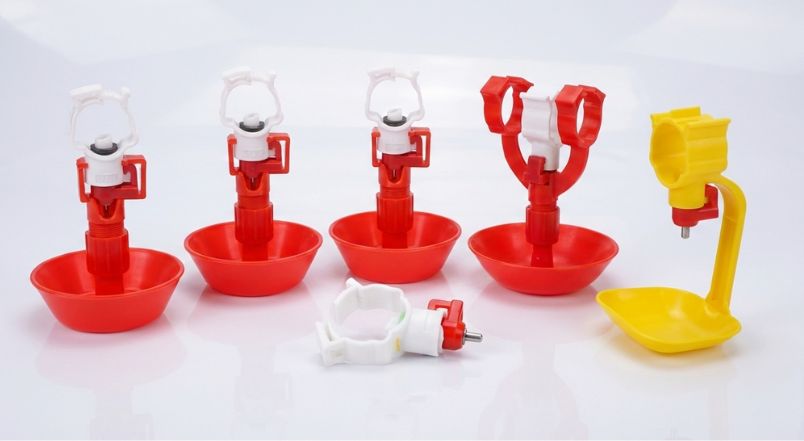 bangla poultry cover photo