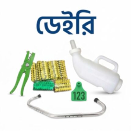 ডেইরি